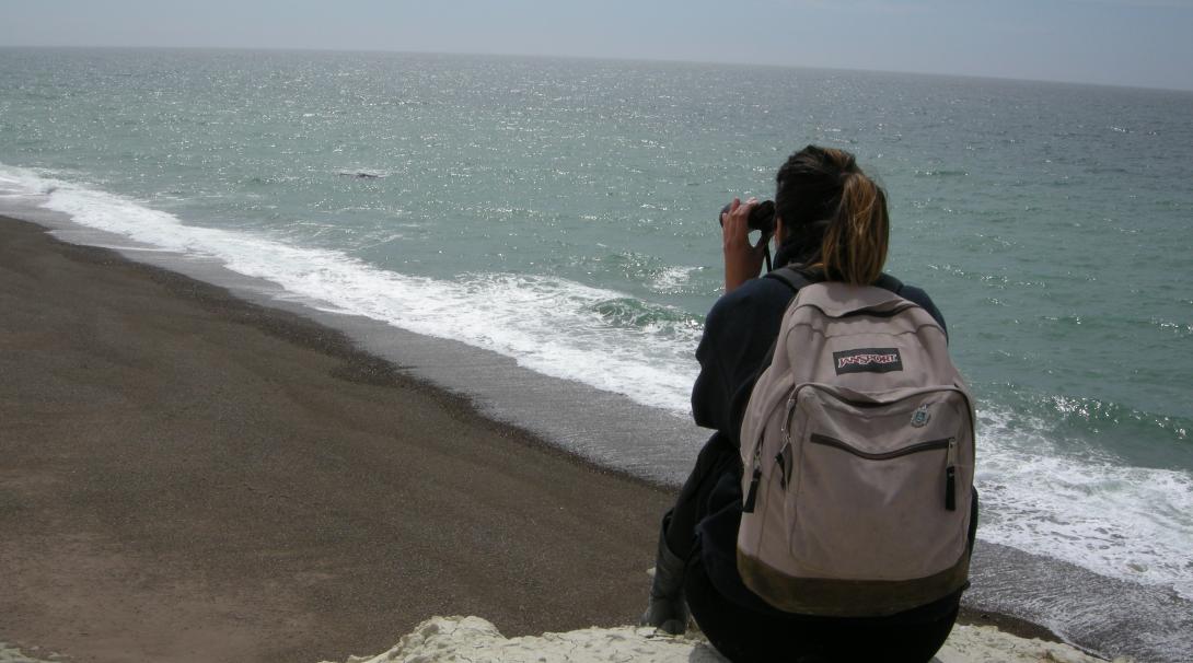 Volunteer monitoring wales in Argentina